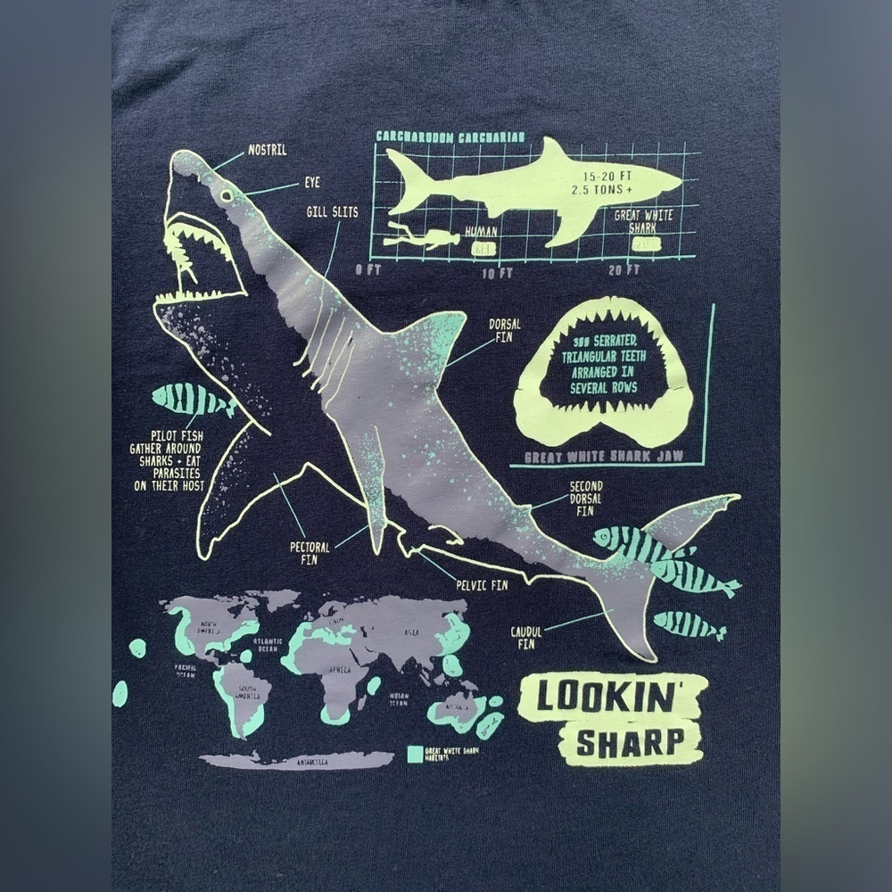 Rumi + Ryder Size XS, 4-5, Glow In The Dark Shark Tee - Picture 4 of 5
